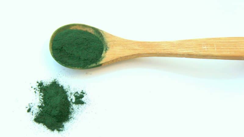 chlorella alga fogyás mit egyek fogyókúra alatt gyakori kérdések
